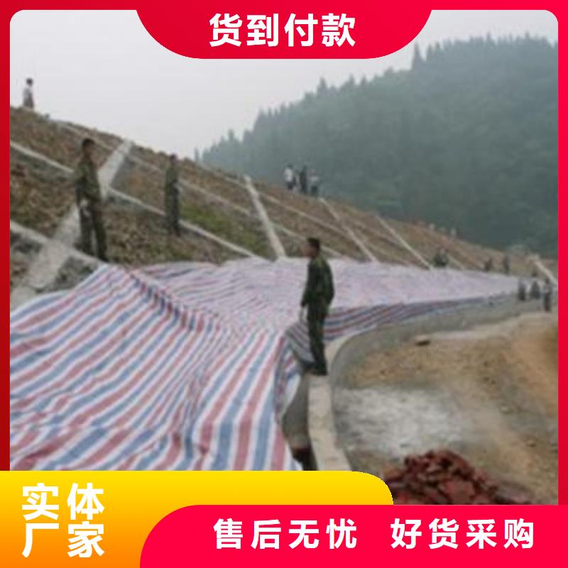 三色彩条布全国走货本地供应商