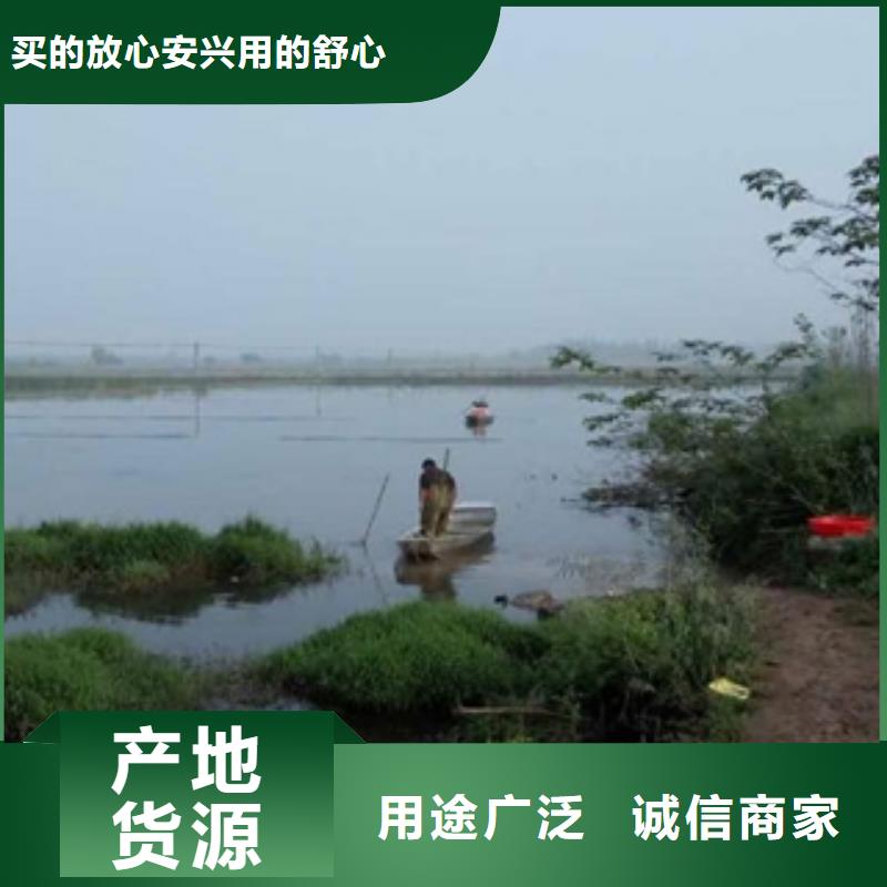 （小龙虾苗价格）小龙虾种虾价格报价拒绝差价