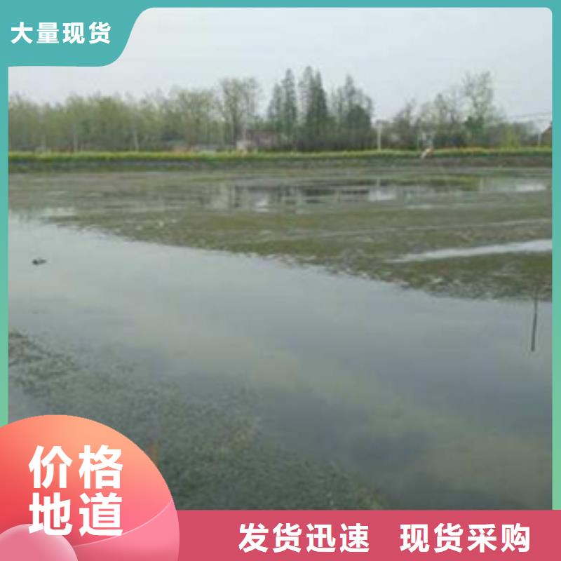 （小龙虾苗价格）投放小龙虾苗时间当地品牌