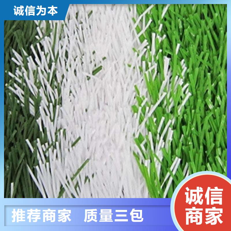 绥芬河休闲人造草坪体育场地施工厂家体奥体育有限公司拥有多家成功案例