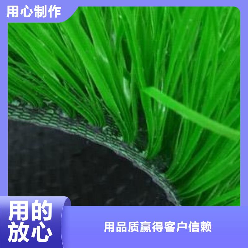 绥芬河人造草坪场地体育生产厂家当地货源