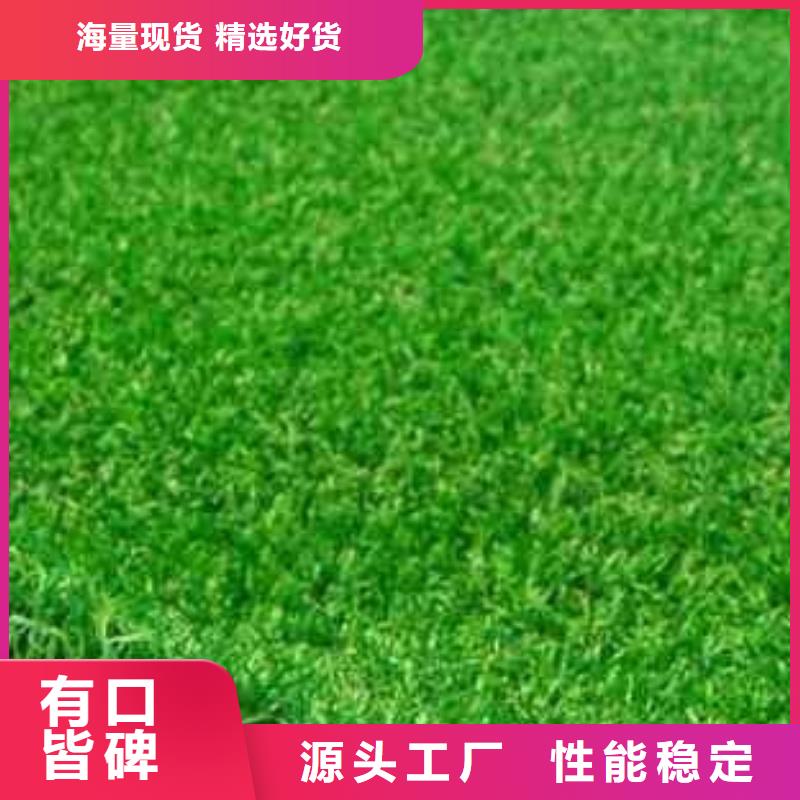 陽明人造草坪報價專業(yè)設(shè)計施工公司分類和特點