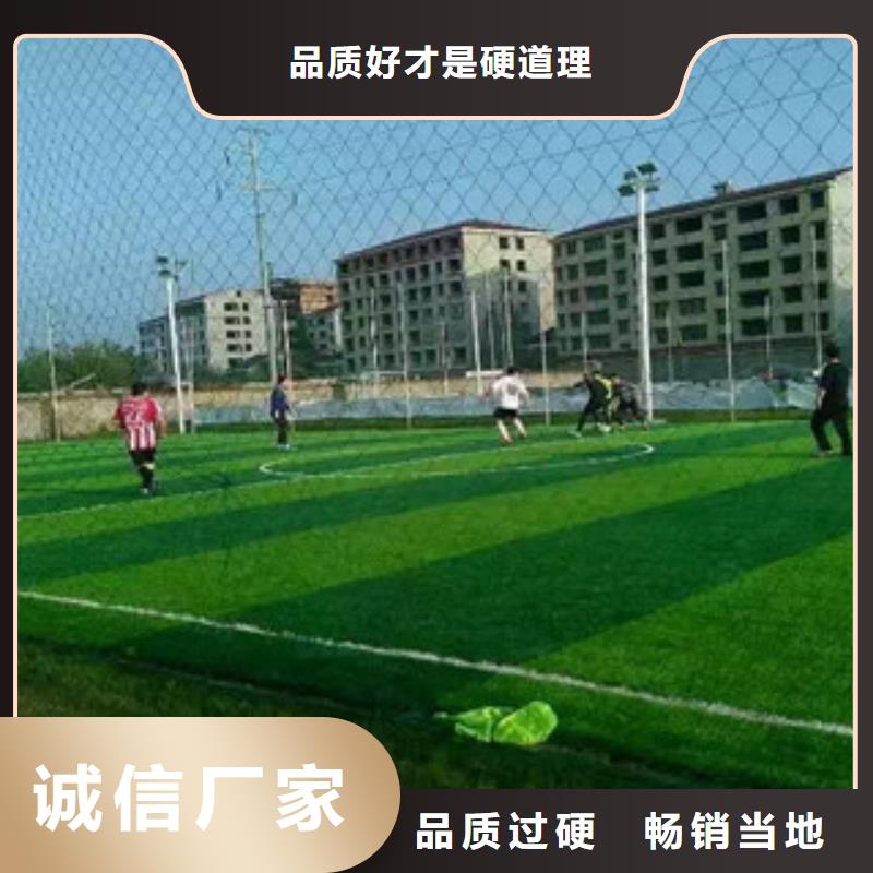 爱民人造草坪报价体育生产厂家体奥体育有限公司主推产品