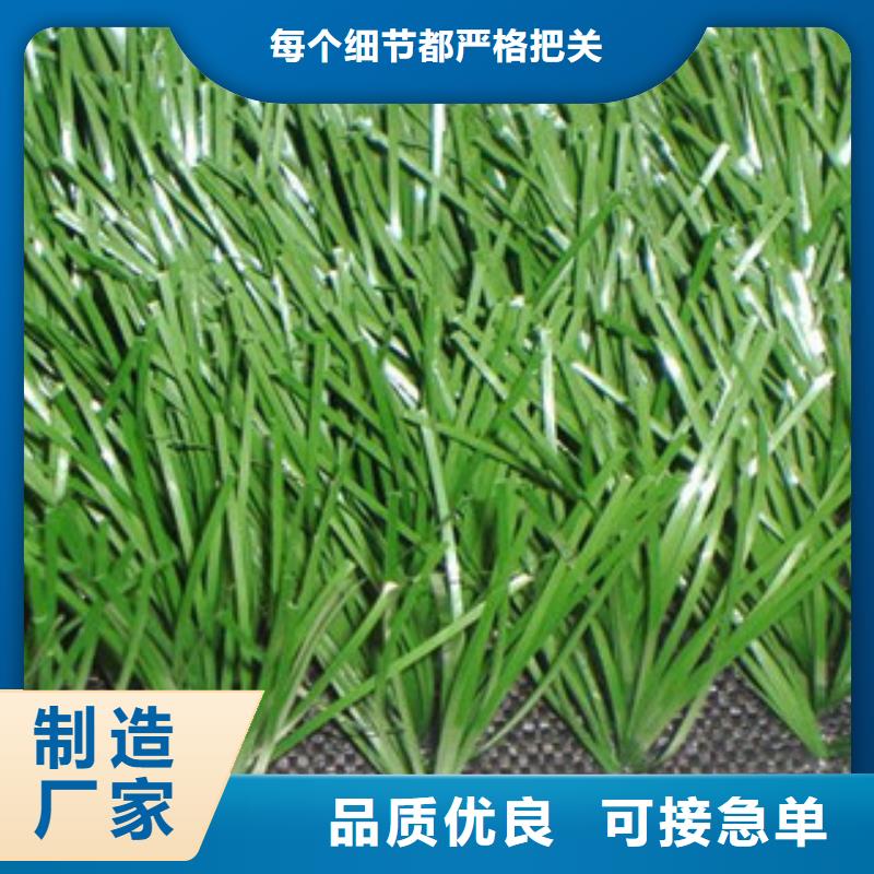 林口人造草坪报价体育生产厂家本地制造商
