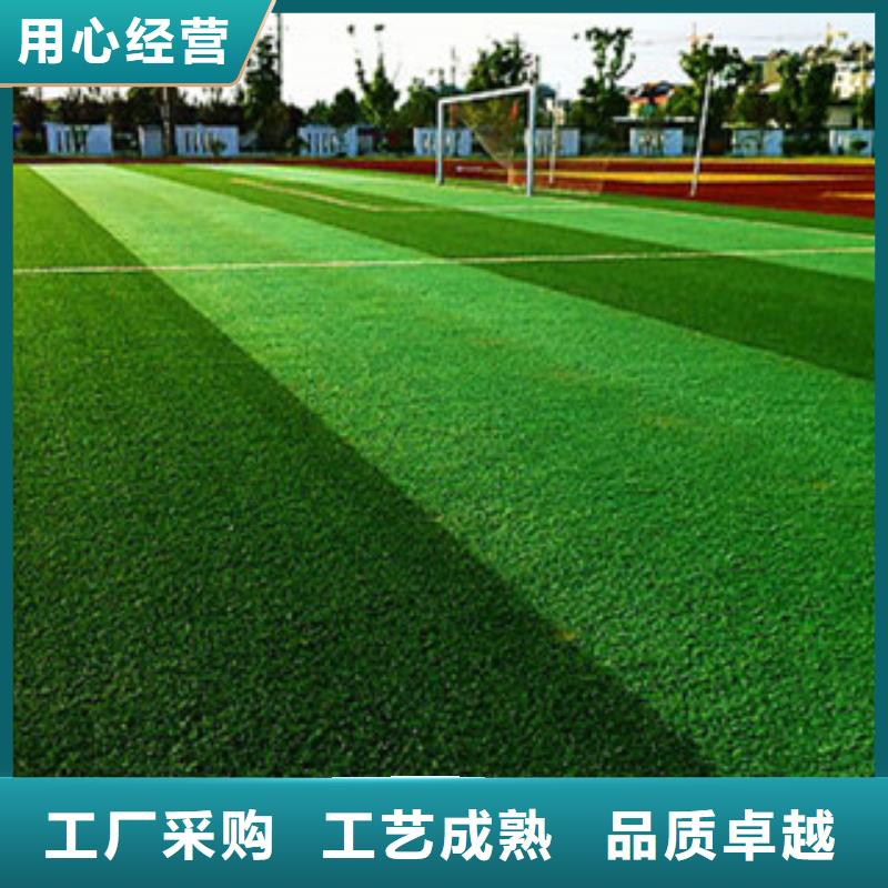 宁安人造草坪场地环保新国标厂家当地供应商