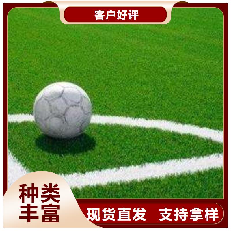 绥芬河工地人造草坪直销材料生产厂家厂家批发价