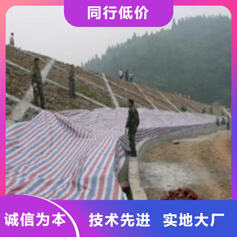 工程防风彩条布欢迎一站式采购商家