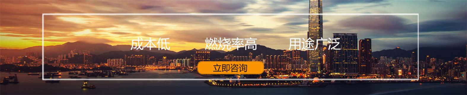 新型植物油燃料厂家培训技术当地厂家值得信赖