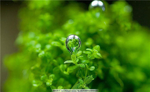 新行燃料植物油厂家价格低同城生产商