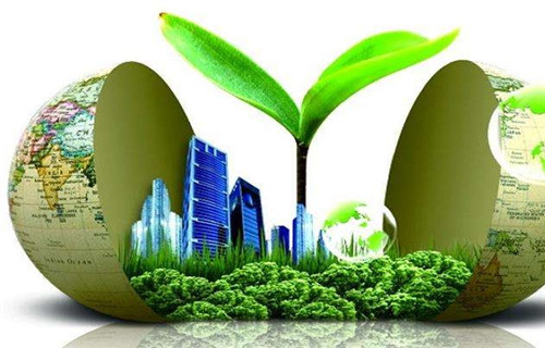 燃烧植物油技术价格行情满足客户所需