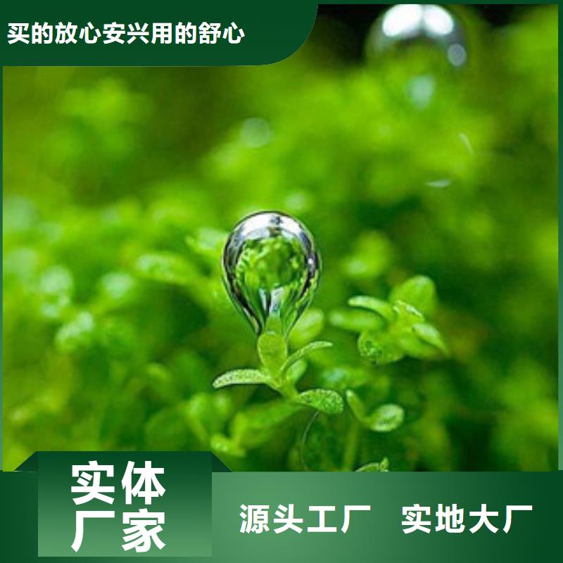 无醇植物油技术当地服务商